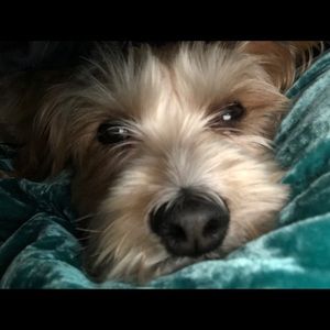 Meet your Posher, Jasmine